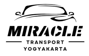 logo miracle 2